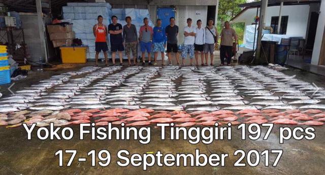 Kuching Fishing Trip from 21 to 26 Sept on Yoko Boat 1 